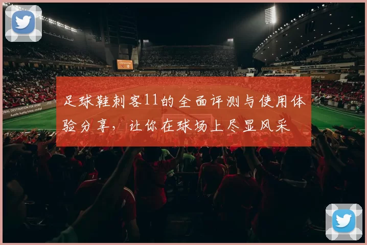 足球鞋刺客11的全面评测与使用体验分享，让你在球场上尽显风采