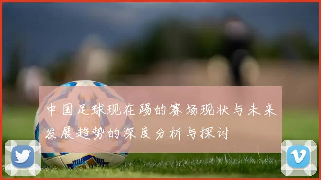 中国足球现在踢的赛场现状与未来发展趋势的深度分析与探讨