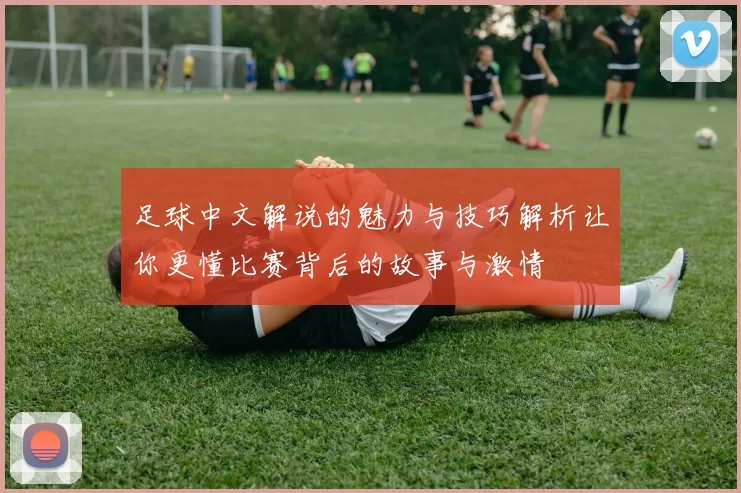 足球中文解说的魅力与技巧解析让你更懂比赛背后的故事与激情