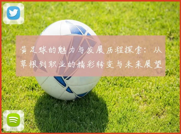 黄足球的魅力与发展历程探索：从草根到职业的精彩转变与未来展望